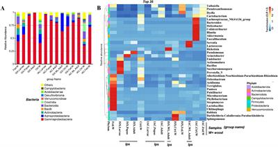 Comparative metagenomic study unveils new insights on bacterial communities in two pine-feeding Ips beetles (Coleoptera: Curculionidae: Scolytinae)